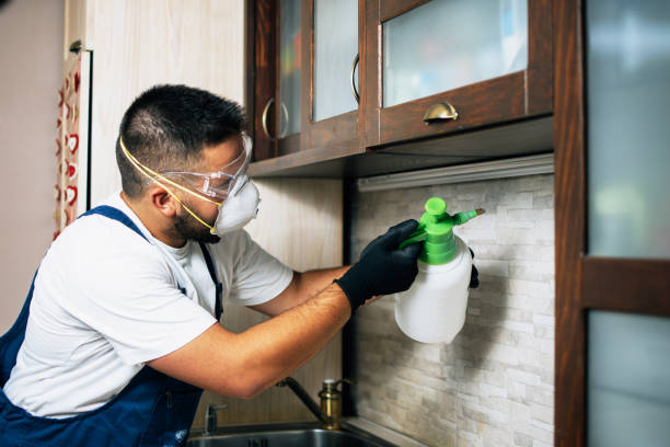 Best Emergency Pest Control  in Pierre, SD