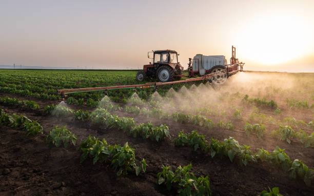 Best Pest Inspection Near Me  in Pierre, SD