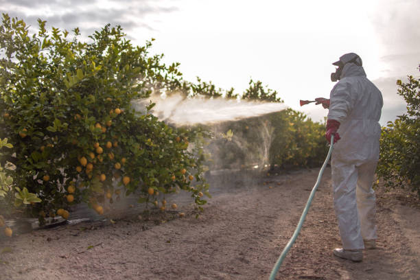 Professional Pest Control in Pierre, SD