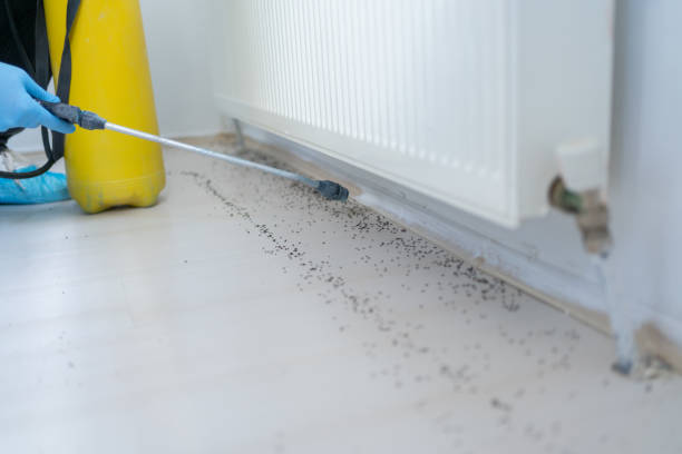 Best Cockroach Control Services  in Pierre, SD