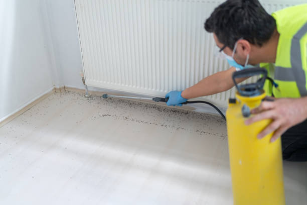 Best Local Pest Control Services  in Pierre, SD