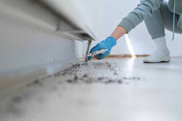 Best Mosquito Control Services  in Pierre, SD