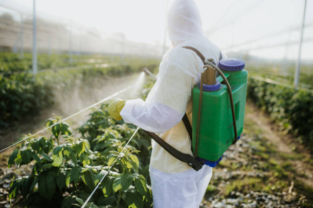 Best Pest Control Near Me  in Pierre, SD